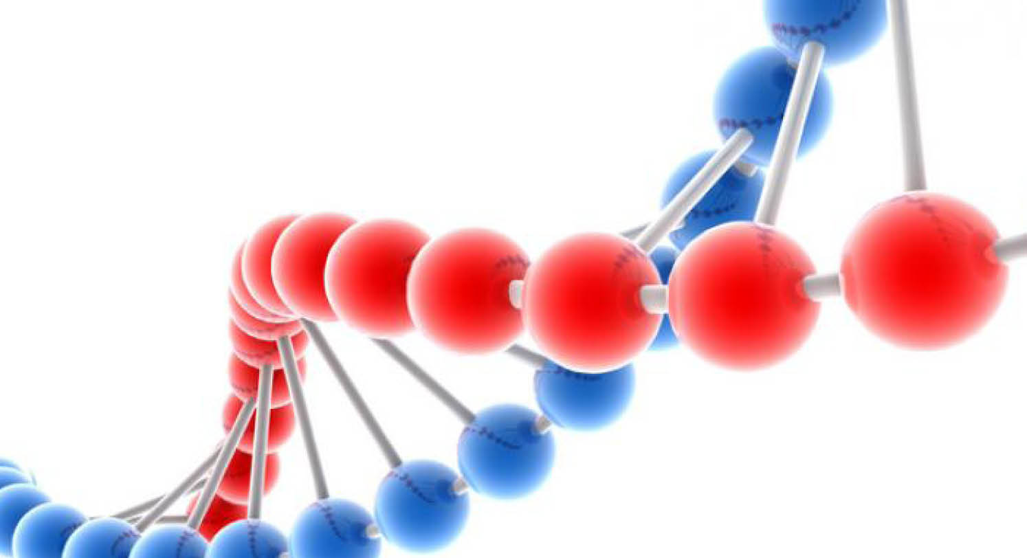 Rare Diseases Functional Genomics