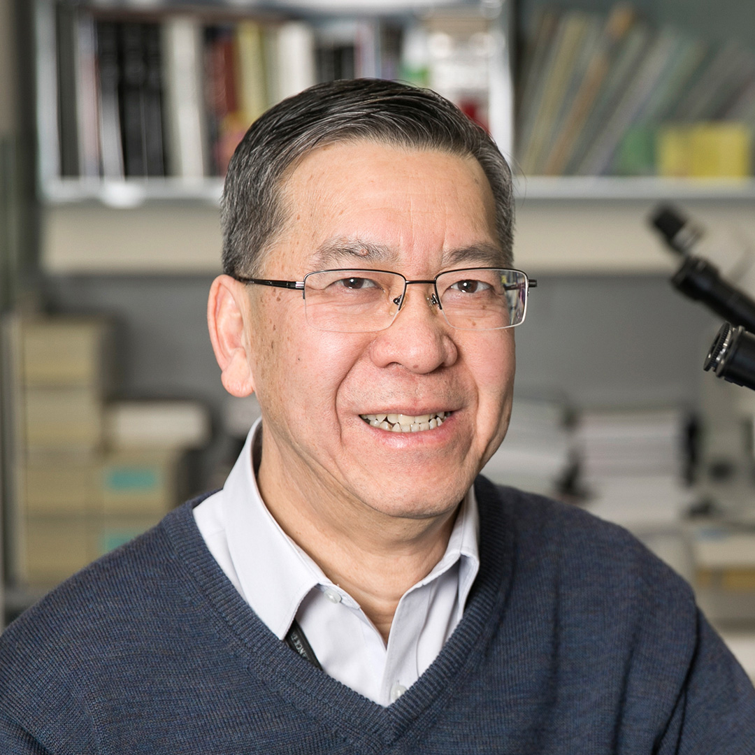 Luminesce Alliance - Prof Patrick Tam Image
