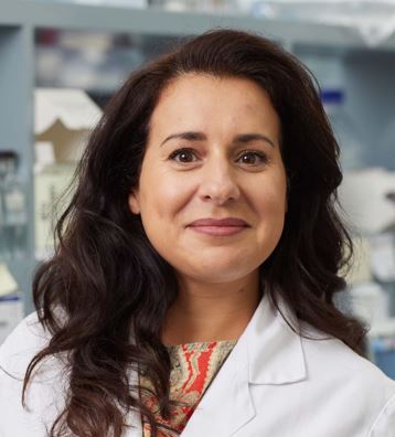 Luminesce Alliance - A/Prof Anai Gonzalez Cordero Image